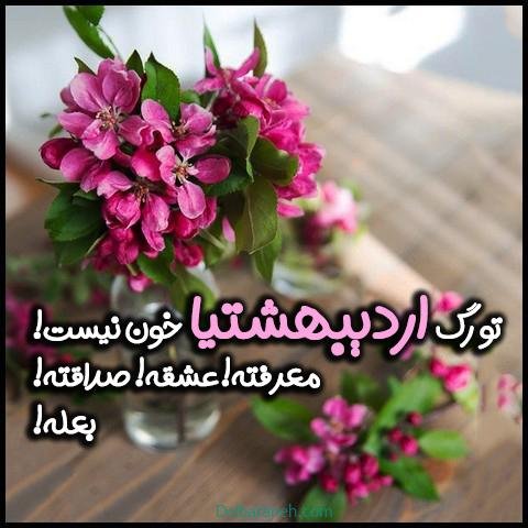  عکس اردیبهشتی ام