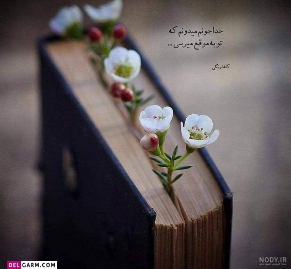  عکس پروفایل خدایا شکرت جدید