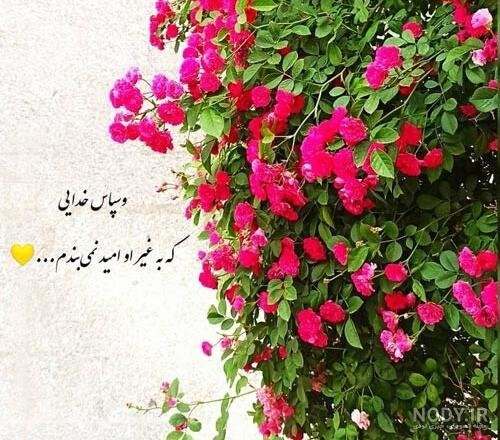 عکس خدایا شکرت برای پروفایل