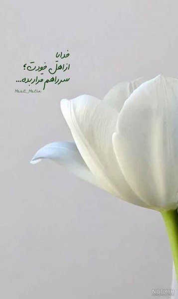 عکس پروفایل خدایی خاص