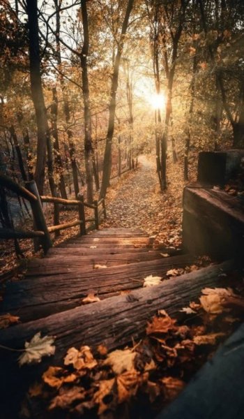  عکس پاییزی طبیعی