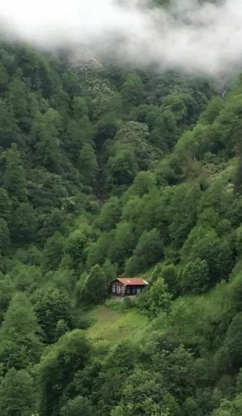  عکس برگ پاییزی فانتزی