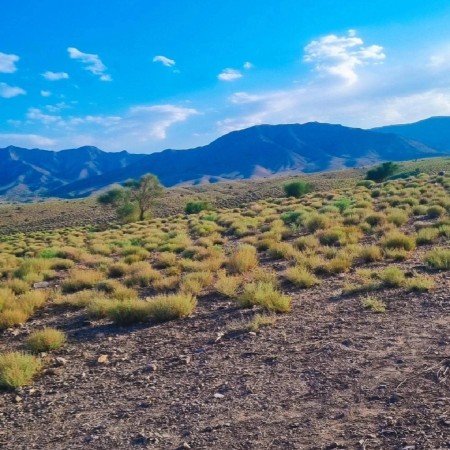  عکس کوه و دریا برای پروفایل