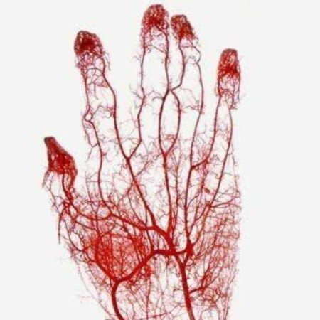  عکس های گلچین پروفایل