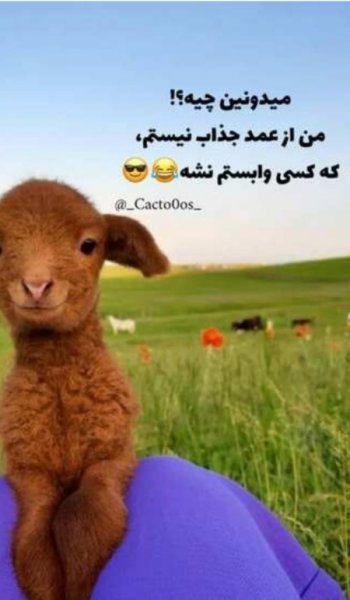 210 عکس پروفایل دخترونه خفن