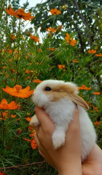  841 عکس نوشته خوشگل برای پروفایل