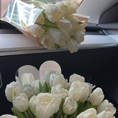  عکس های عاشقانه