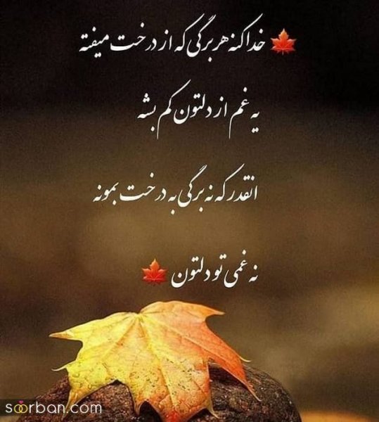  پروفایل خدایا شکرت که هوامو داری