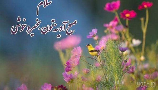  عکس برای استوری جمعه