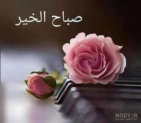  عکس صباح الخیر جمعه مبارک