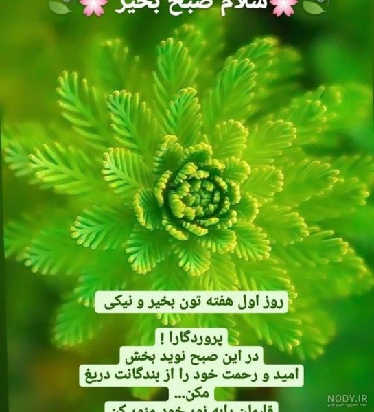 عکس صباح الخیر جمعه مبارک