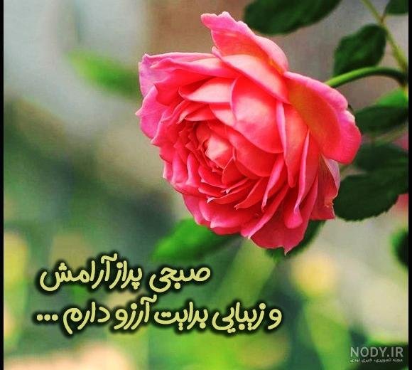 عکس صباح الخير جدید