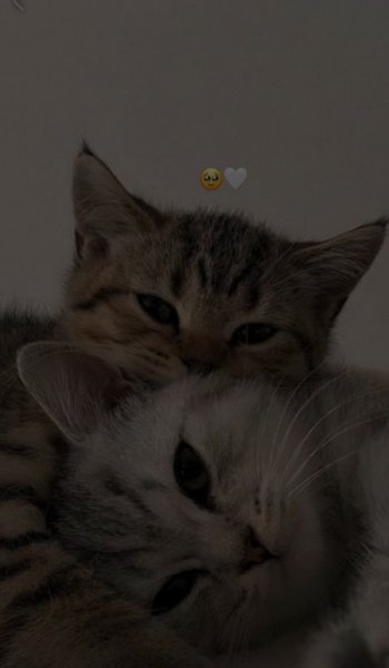  پروفایل سنگین و باکلاس