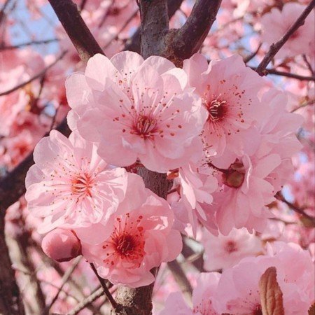 پروفایل سنگین و باکلاس زنانه