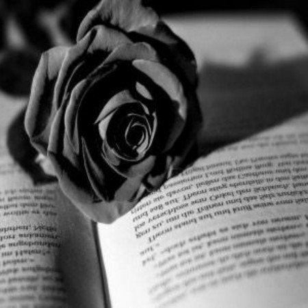  پروفایل زنانه لاکچری