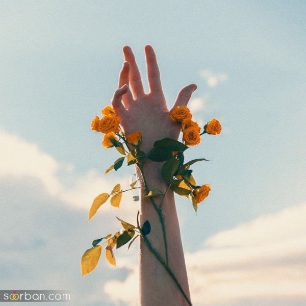  پروفایل خاص و تک