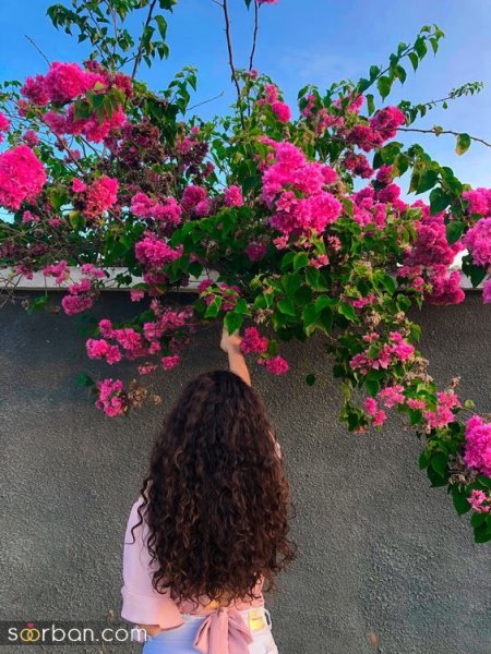  پروفایل خاص و تک