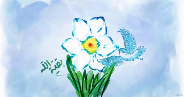  عکس جمکران و گل نرگس