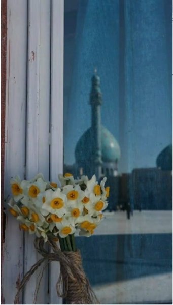  عکس از مسجد جمکران