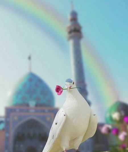  عکس از مسجد جمکران