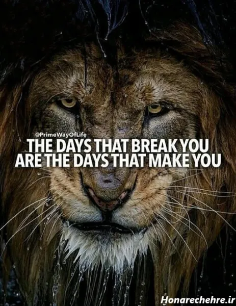  عکس جالب برای استوری