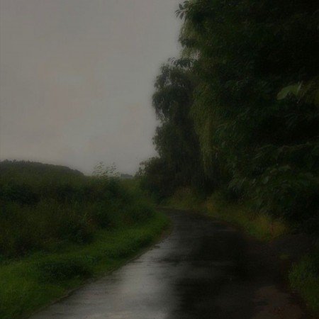  90 عکس جاده برای استوری