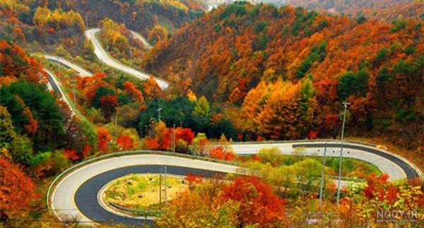  90 عکس جاده واقعی