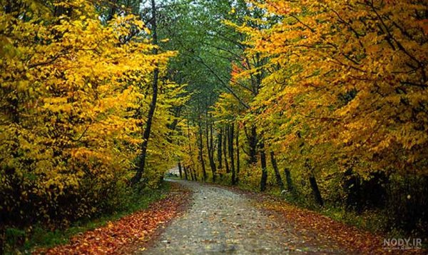  90 عکس جاده واقعی