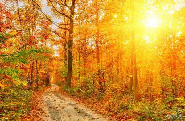  90 عکس جاده واقعی