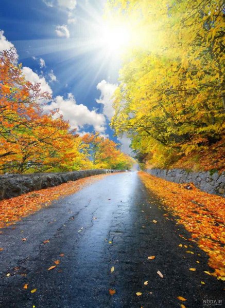  90 عکس جاده واقعی