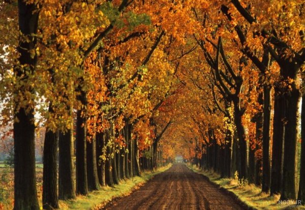  90 عکس جاده واقعی