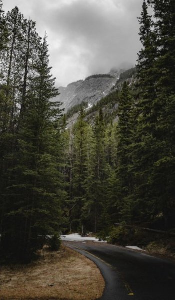  عکس جاده برای پروفایل