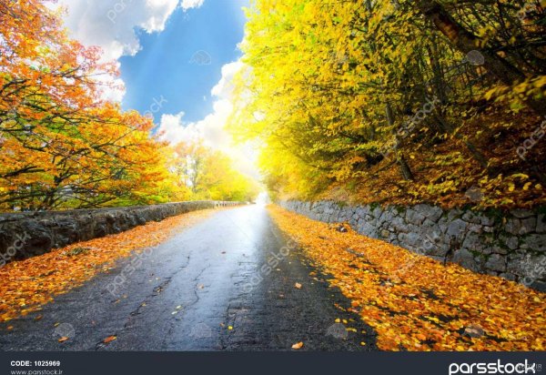  عکس جاده از بغل