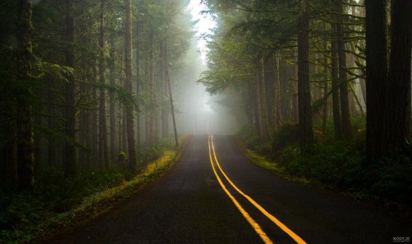  عکس جاده از بغل