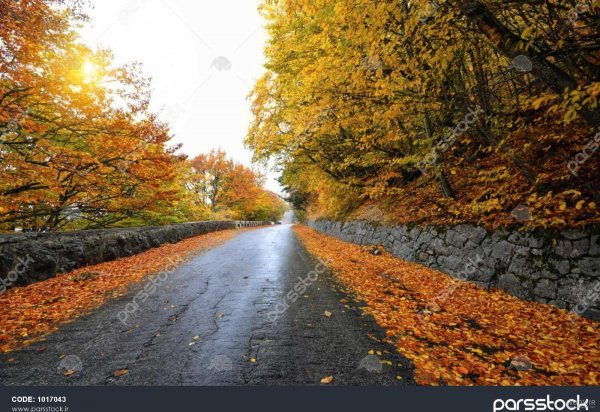  عکس جاده از بغل