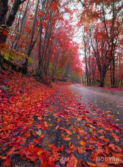  عکس جاده از بغل