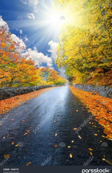  عکس جاده از بغل