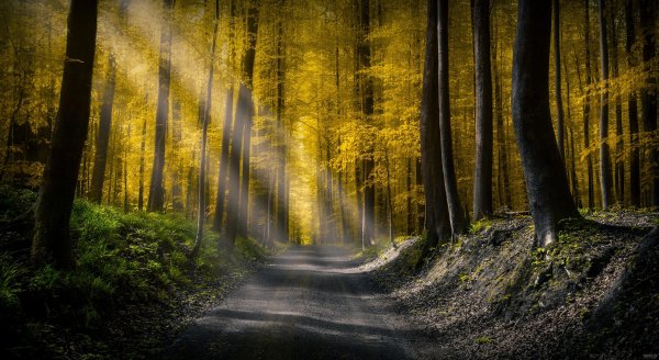  عکس جاده از بغل