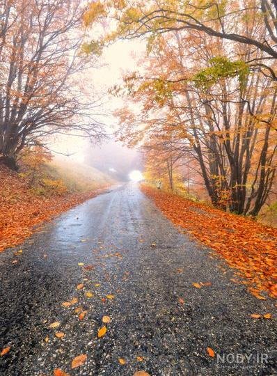  عکس جاده از بغل