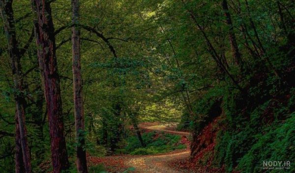  عکس جاده از بغل