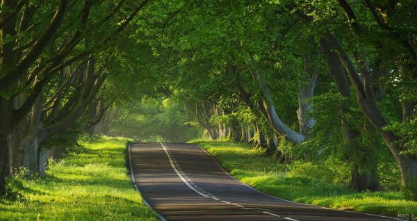  عکس جاده از بغل