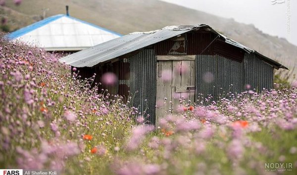  عکس جاده از بغل