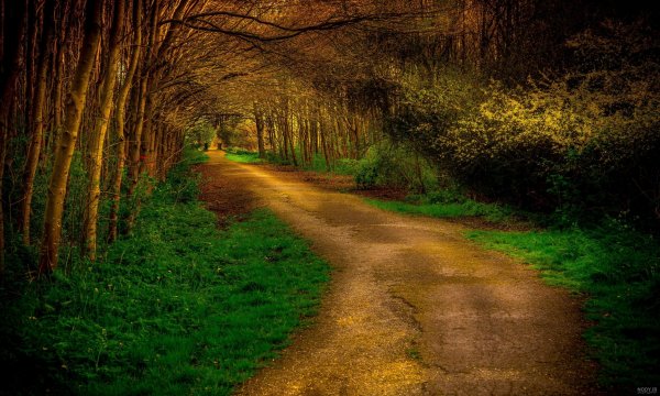  عکس جاده از بغل