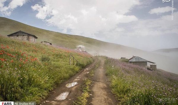  عکس جاده از بغل