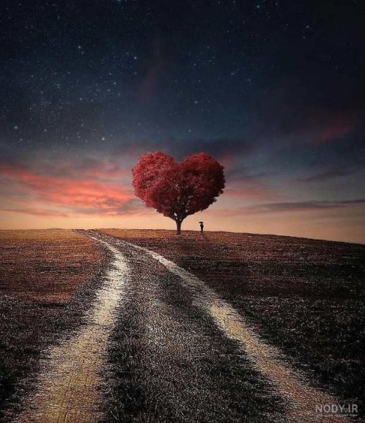  عکس جاده در شب برای پروفایل