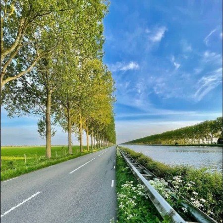  85 عکس جاده در روز