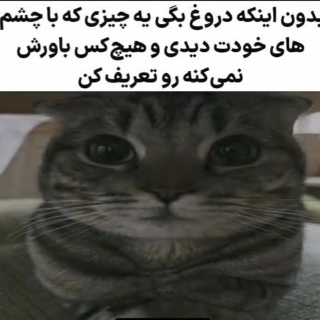  عکس چالش برای پروفایل