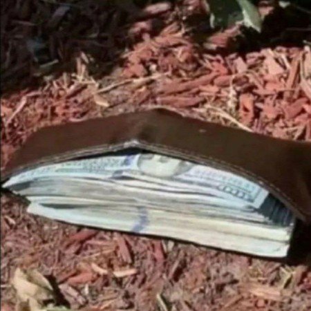  عکس چالش برای کانال