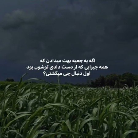  عکس چالشی