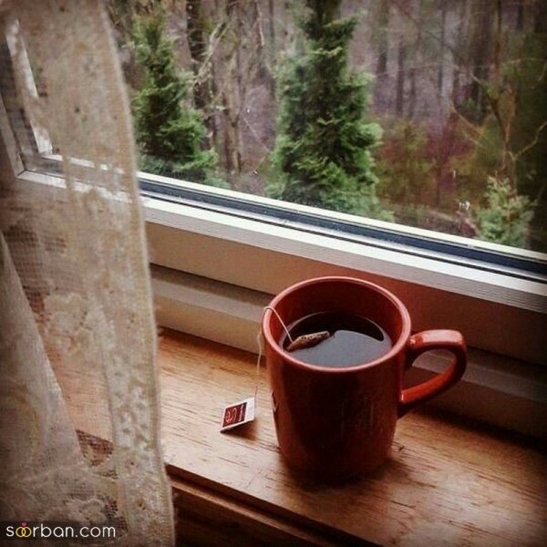  عکس چای در دست دختر